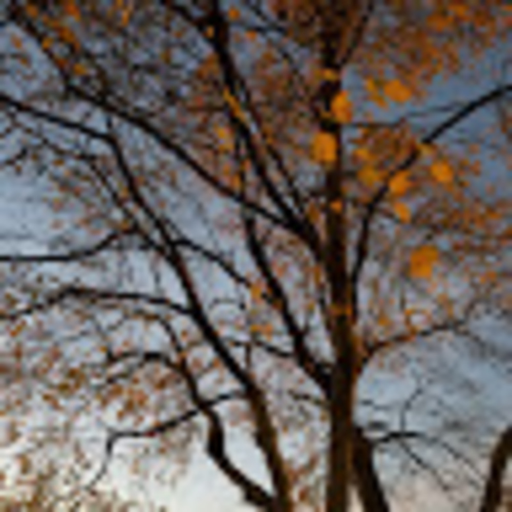 Meet your Posher, New england